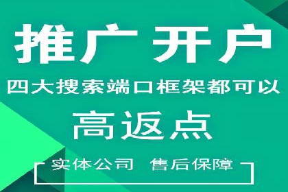 案例研究：关键词竞价排名实战经验