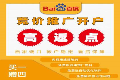 竞价推广公司案例：实战技巧与策略